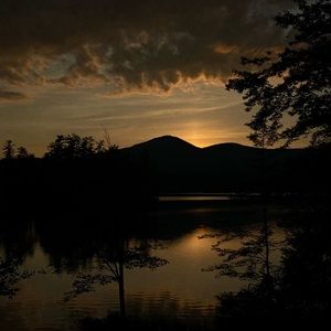 Meet your Posher, Maddie